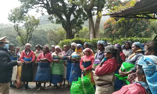 கூட்டடா எஸ்டேட்டில்  குழந்தைகள் திருமணம் குறித்த விழிப்புணர்வு
