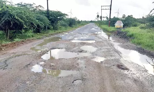 குண்டும், குழியுமாக காட்சியளிக்கும் ராதாபுரம்-சீலாத்திகுளம் சாலை- செப்பனிட பாரதீய ஜனதா கட்சி கோரிக்கை