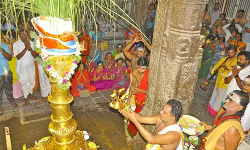 நெல்லையப்பர் கோவிலில் ஆருத்ரா தரிசன திருவிழா கொடியேற்றத்துடன் தொடங்கியது