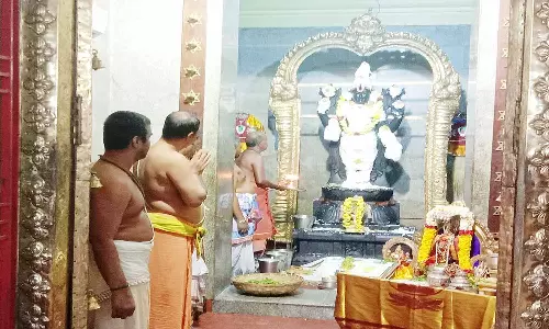 ஸ்ரீ தன்வந்திரி பெருமாளுக்கு அன்னாபிஷேகம்