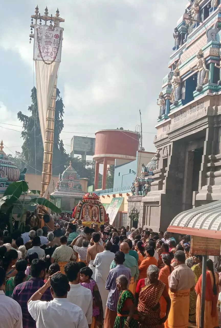 அன்னூரில்மன்னீஸ்வரர் கோவில் தேரோட்டம்