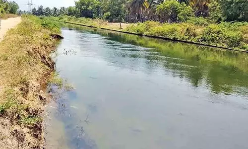 பி.ஏ.பி., 3-ம் மண்டல பாசனத்திற்காக திருமூர்த்தி அணையில் இருந்து தண்ணீர் திறப்பு