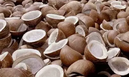 வெள்ளகோவிலில் ரூ. 51 லட்சத்துக்கு தேங்காய் பருப்பு விற்பனை