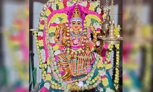 பொத்தனூர் மகா பகவதி அம்மன் கோவில் திருவிழா