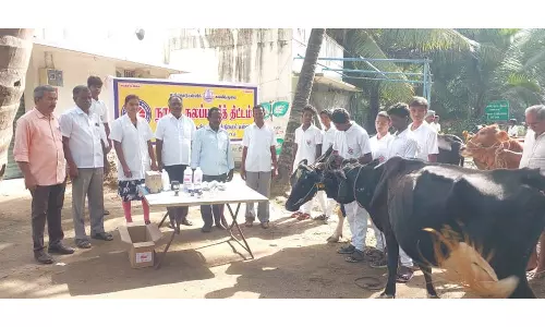 நாகராசம்பட்டி அரசு பள்ளியில் நாட்டு நலப்பணி திட்ட முகாம்