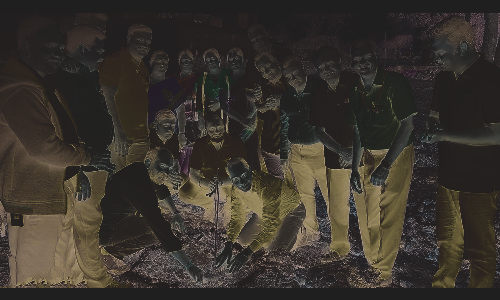 ஓசூரில்1,000 எலுமிச்சை மரக்கன்றுகளை நடும் நிகழ்ச்சி