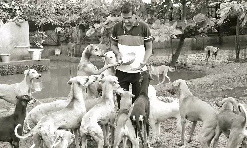 உசிலம்பட்டியில் 100 நாட்டு நாய்களை வளர்ப்பவருக்கு விருது