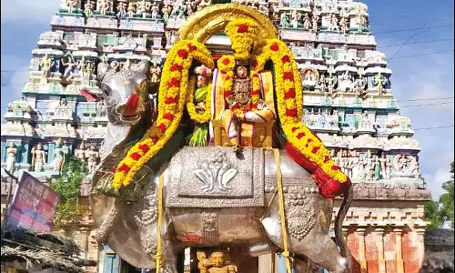 வேதாரண்யம் வேதாரண்யேஸ்வரர் கோவிலில் தீர்த்தவாரி
