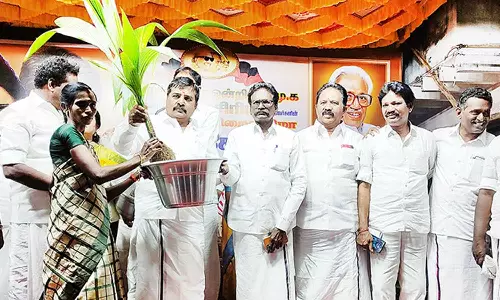 பொதுமக்களுக்கு தென்னங்கன்றுகள் வழங்கல்