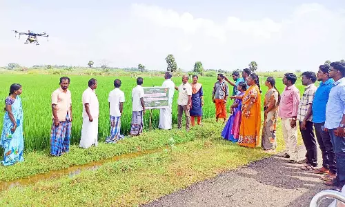 ட்ரோன் மூலம் நானோ யூரியா தெளிப்பது குறித்து விவசாயிகளுக்கு செயல்விளக்கம்