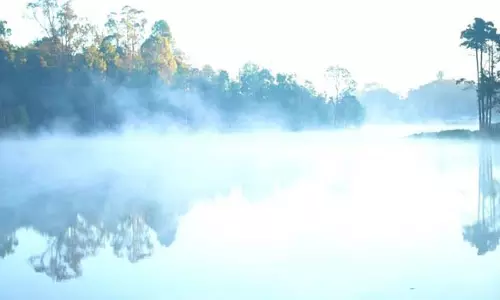 கொடைக்கானலில் உறைபனி சீசனால் நடைபயிற்சி செல்வோர் தவிப்பு