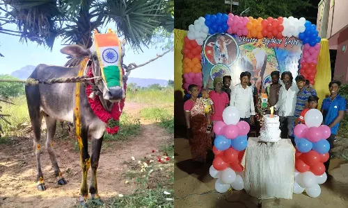 கன்று குட்டிக்கு பிறந்தநாள் கொண்டாட்டம்: கேக் வெட்டி பிரியாணி விருந்து வைத்து அசத்திய விவசாயி
