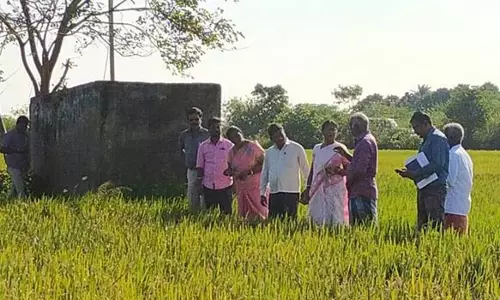 நெற்பயிர் பாதிப்பு- வேளாண்துறை அதிகாரிகள் ஆய்வு