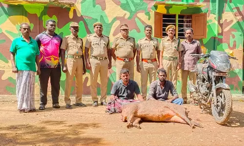 புளியங்குடி அருகே  காட்டுப்பன்றியை வேட்டையாடிய 2 பேருக்கு ரூ. 50 ஆயிரம் அபராதம்