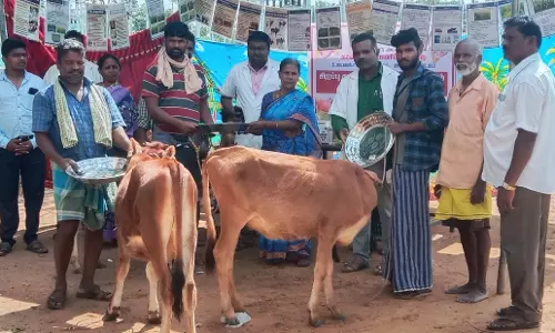 கால்நடை சிறப்பு மருத்துவ முகாம்