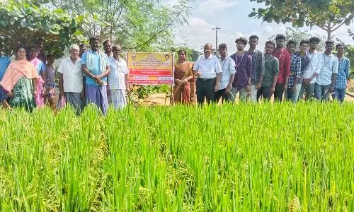 ஊட்டச்சத்து பாதுகாப்பு குறித்து செயல் விளக்கம்