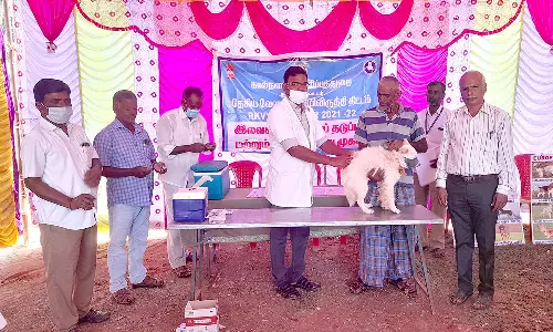 இலவச வெறிநோய் தடுப்பூசி முகாம்