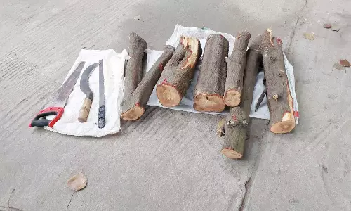 பைக்கில் சந்தன மரங்களை கடத்திய வாலிபர் கைது