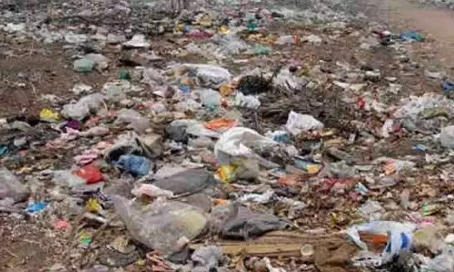 அத்திக்கடவு-அவினாசி திட்ட குளங்களில் மலை போல் குவிந்து கிடக்கும் குப்பைகள்