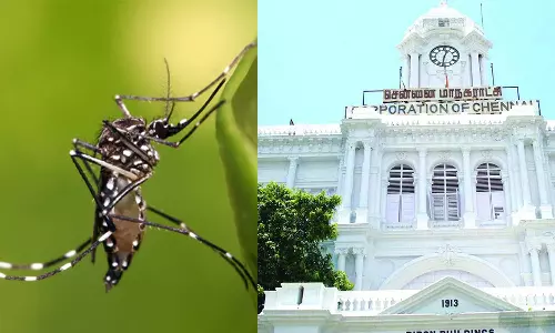 சென்னையில் 48 இடங்களில் கொசு உற்பத்தி-  ரூ.1,27,900 அபராதம் வசூலிப்பு