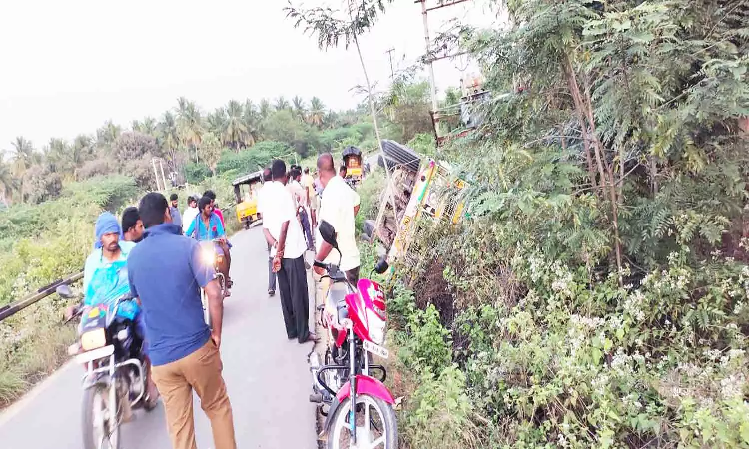 மினி லாரி பள்ளத்தில் கவிழ்ந்து விபத்து