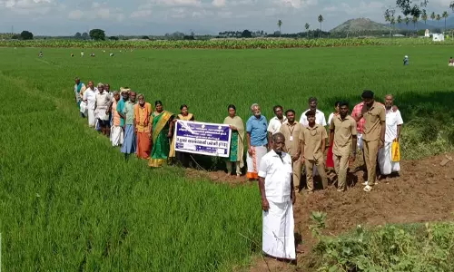 வயல்வெளி பள்ளி பயிற்சி முகாம்