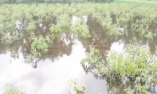 ஏரிக்கு நீர் வரத்து அதிகரிப்பால் விலை நிலங்கள் தண்ணீரில் மூழ்கியது