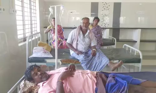 பெண் உட்பட 7 பேரை கடித்து குதறிய வெறி நாய்கள்