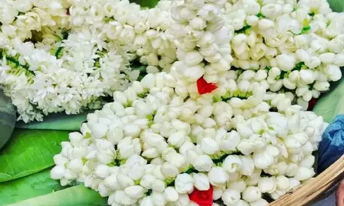 கிருஷ்ணகிரி மாவட்டத்தில் உச்சத்தை தொட்ட பூக்கள் விலை