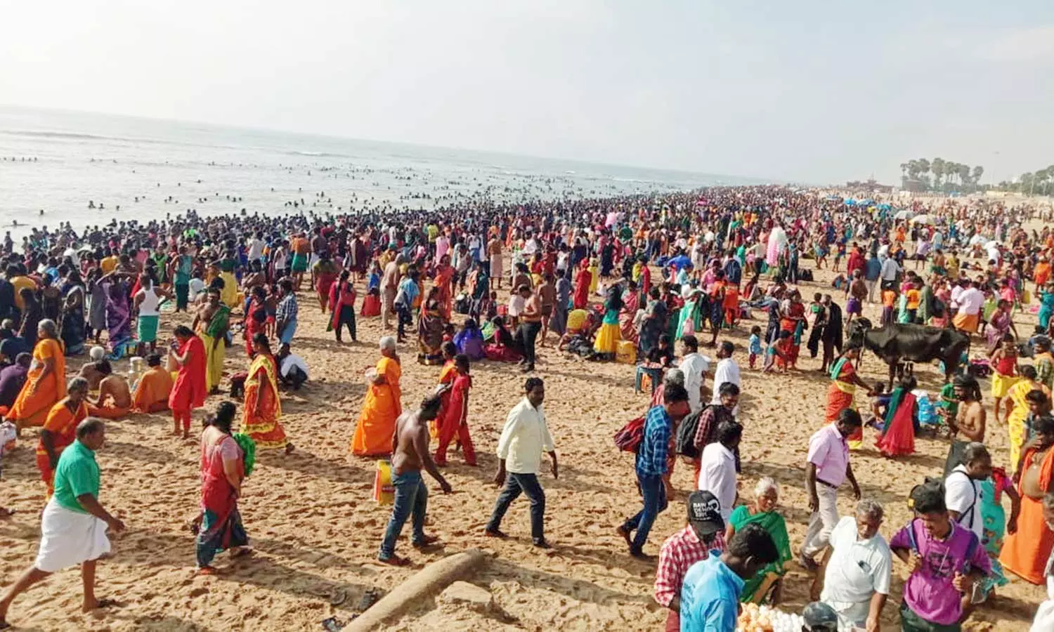 திருச்செந்தூர் சுப்பிரமணிய சுவாமி கோவிலில் லட்சக்கணக்கானோர் தரிசனம்: கடற்கரையில் புனித நீராடி சுவாமியை வழிபட்டனர் திருச்செந்தூர் சுப்பிரமணிய சுவாமி கோவிலில் லட்சக்கணக்கானோர் தரிசனம்: கடற்கரையில் புனித நீராடி சுவாமியை வழிபட்டனர்