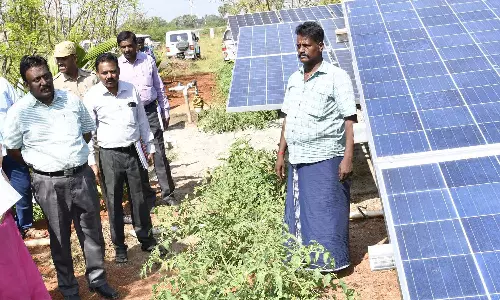 தேனி அருகே சூரிய சக்தி பம்ப் செட்டுகள் செயல்பாடுகள் குறித்து கலெக்டர் ஆய்வு