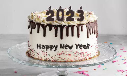 புத்தாண்டையொட்டி கேக் வெட்டி பொதுமக்கள் கொண்டாட்டம்