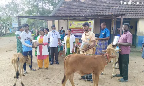 ஆலங்குடியில் கால்நடை சிறப்பு முகாம்