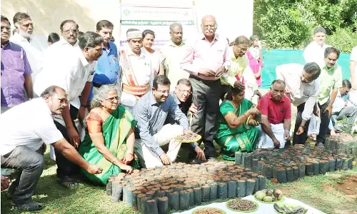 தஞ்சையில், சமுதாய நாற்றங்கால் தோட்டம் எனும் திட்டம்- கலெக்டர் தொடங்கி வைத்தார்