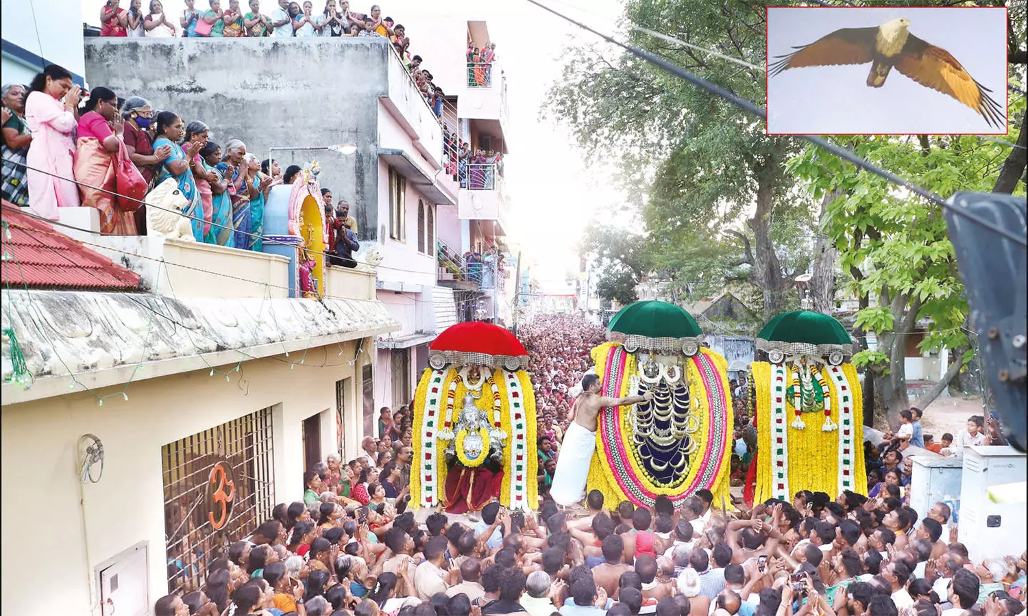 சுசீந்திரம் தாணுமாலயசாமி கோவிலில் கருட தரிசனம்