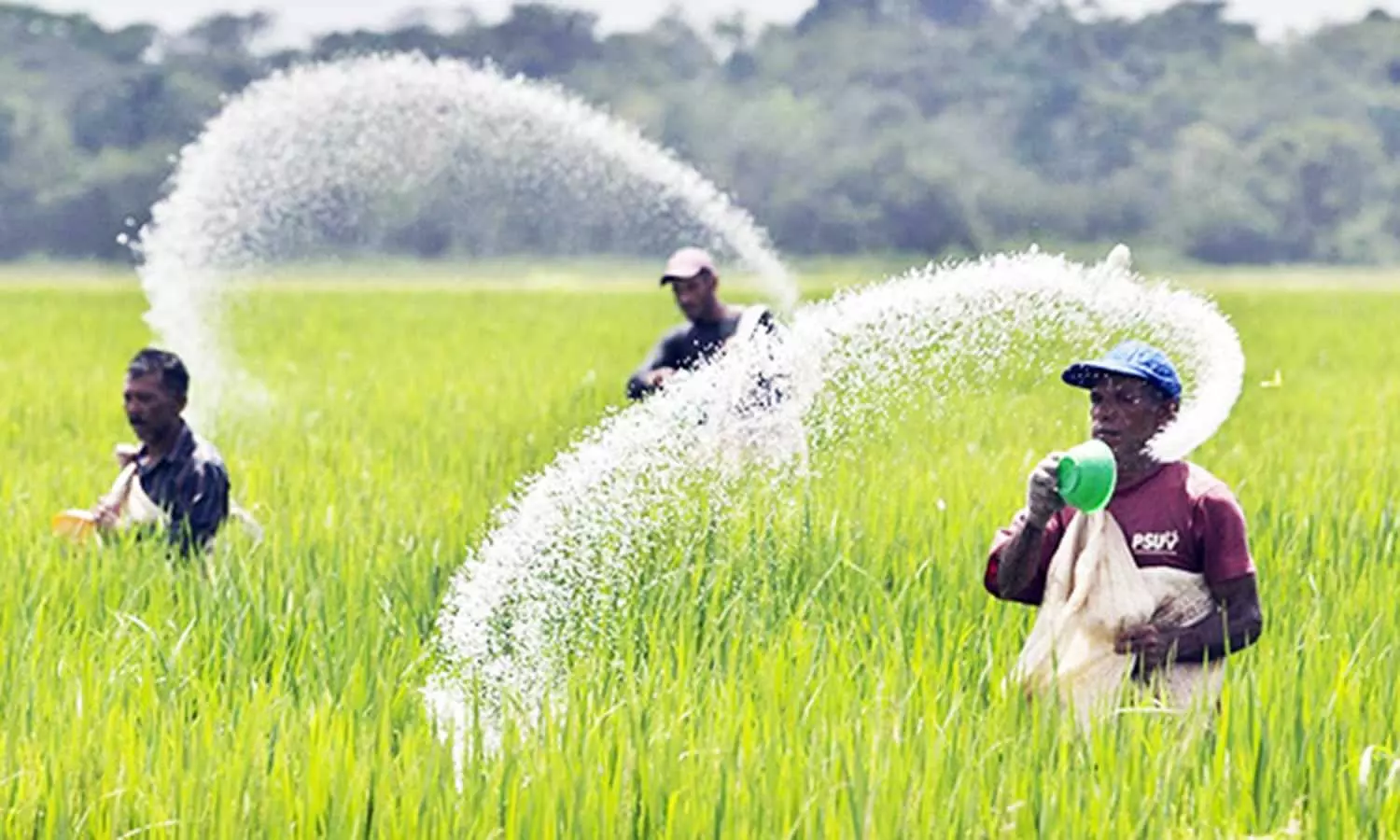 இயற்கை வேளாண்மை குறித்து விவசாயிகளுக்கு பயிற்சி | Training farmers on  organic farming