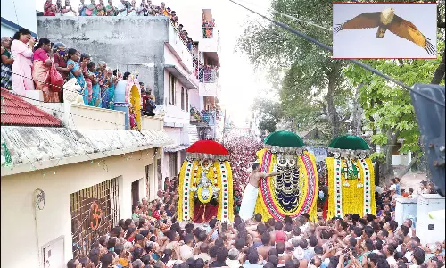 சுசீந்திரம் தாணுமாலயசாமி கோவிலில் கருட தரிசனம்