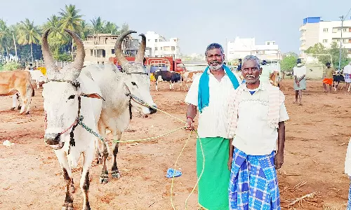 கூடுதல் கட்டணம் வசூலிப்பதால் ஒட்டன்சத்திரம் மாட்டுச்சந்தைக்கு வியாபாரிகள், விவசாயிகள் வருகை குறைவு