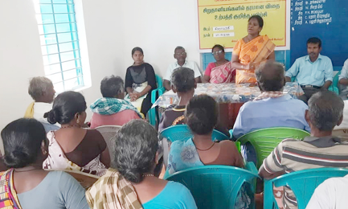 தானியங்களின் சாகுபடி பெருமளவு குறைந்தது