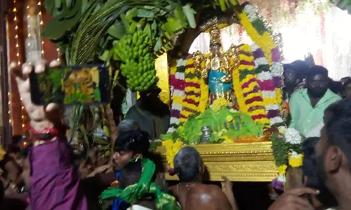 வன்னிய பெருமாள் கோவிலில் சொர்க்கவாசல் திறப்பு