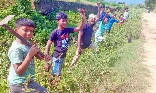 கடையத்தில்  பனை விதைகள் நட்ட மாணவர்கள்