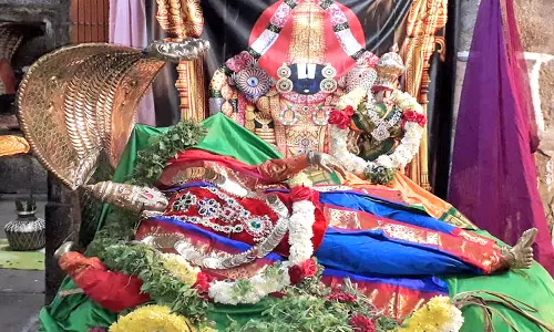 வைகுண்ட ஏகாதசியை முன்னிட்டு நவதிருப்பதி கோவில்களில் இன்று மாலை சொர்க்கவாசல் திறப்பு