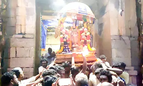 வைகுண்ட ஏகாதசி; ஸ்ரீதேவி, பூதேவி சமேதராய் சொர்க்கவாசலில் எழுந்தருளிய தாடாளன் பெருமாள்