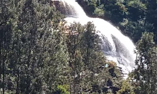 கோத்தகிரி கேத்தரின் நீர்வீழ்ச்சியில் குளிக்க தடை