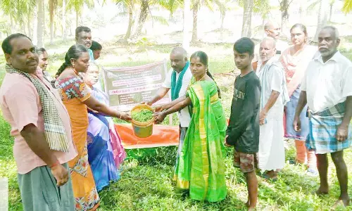 அசோலா வளர்ப்பு குறித்து விவசாயிகளுக்கு செயல்விளக்கம்