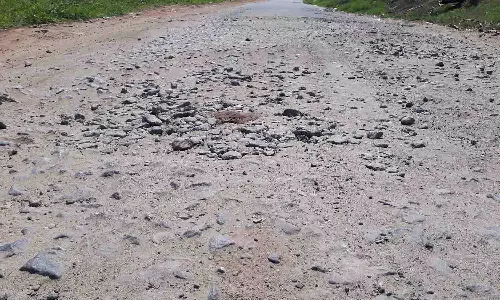 அவரப்பாளையம் சாலையை சீரமைக்க கோரிக்கை