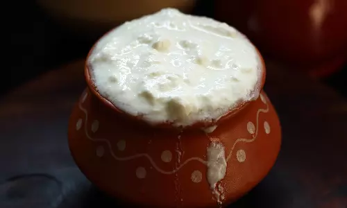 குளிர்காலத்தில் தயிர் சாப்பிடலாமா?