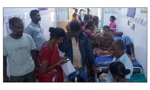 தேனீக்கள் கொட்டிய 10 பேருக்கு சிகிச்சை