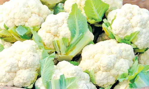 சேலம் மார்க்கெட்டுக்கு காலிபிளவர் வரத்து அதிகரிப்பு