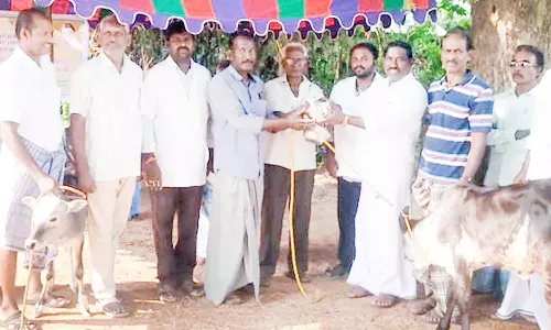 கால்நடை மருத்துவ முகாம்